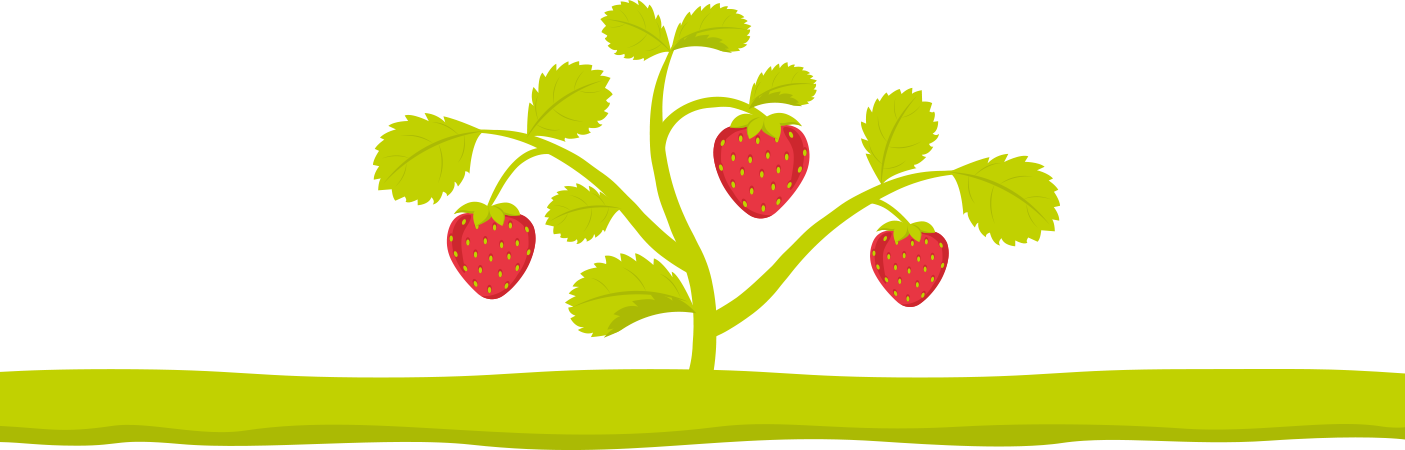 Strawberry Bush